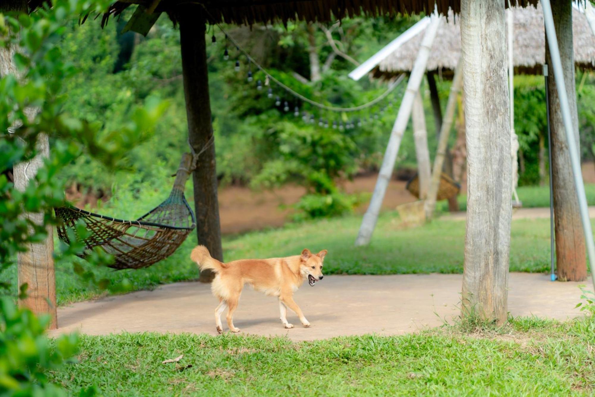 Chiewlan Camp And Resort Ban Pha Saeng Lang 外观 照片
